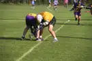 Game action