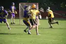 Game action