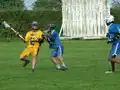 Game action