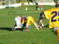 Game action