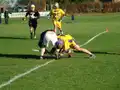 Game action