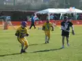 Game action
