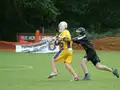 Game action