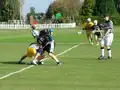 Game action