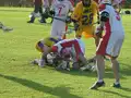 Game action