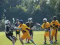 Game action