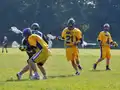 Game action