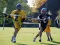 Game action