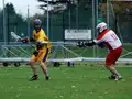 Game action