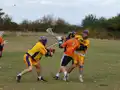 Game action