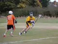 Game action