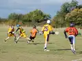 Game action