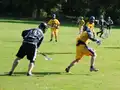 Game action