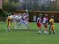 Game action