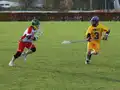 Game action